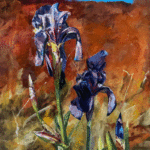 Black Iris, 24x24, oil on board