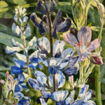 Lupin, 30x24, oil on board